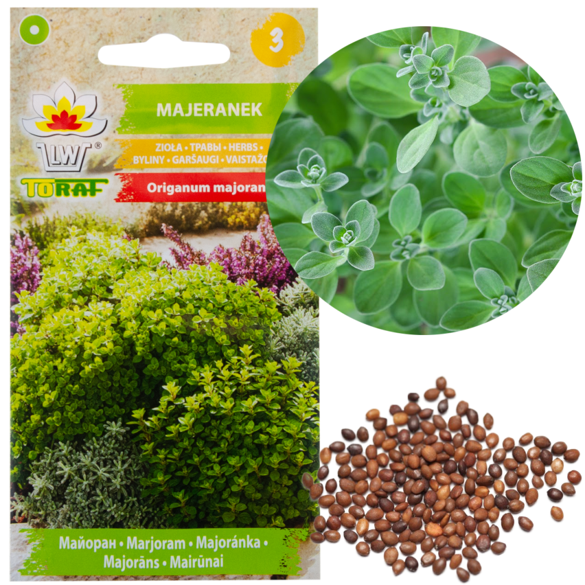 Z3018 MAJORAN KRÄUTERSAMEN AROMATISCHE BEILAGE 1G