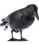 TG60297 GROSSE KRÄHE VOGEL ABSCHRECKUNG TAUBEN STARE
